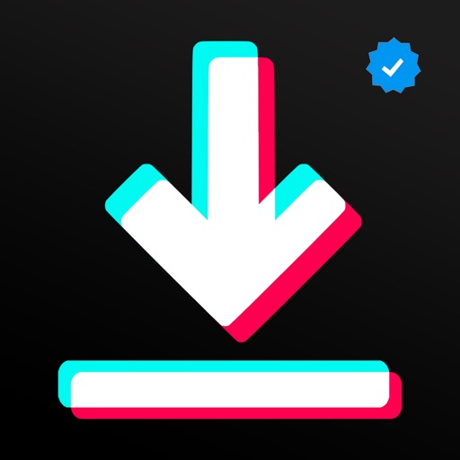 SnapTik - Tik Video Saver